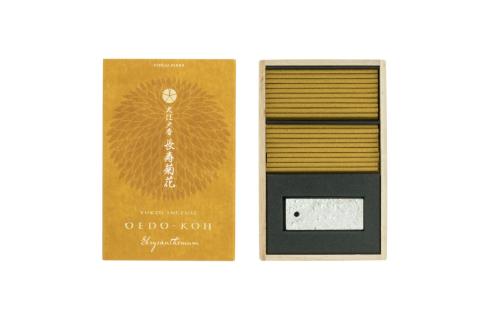 Oedo Chrysanthemum - Хризантема